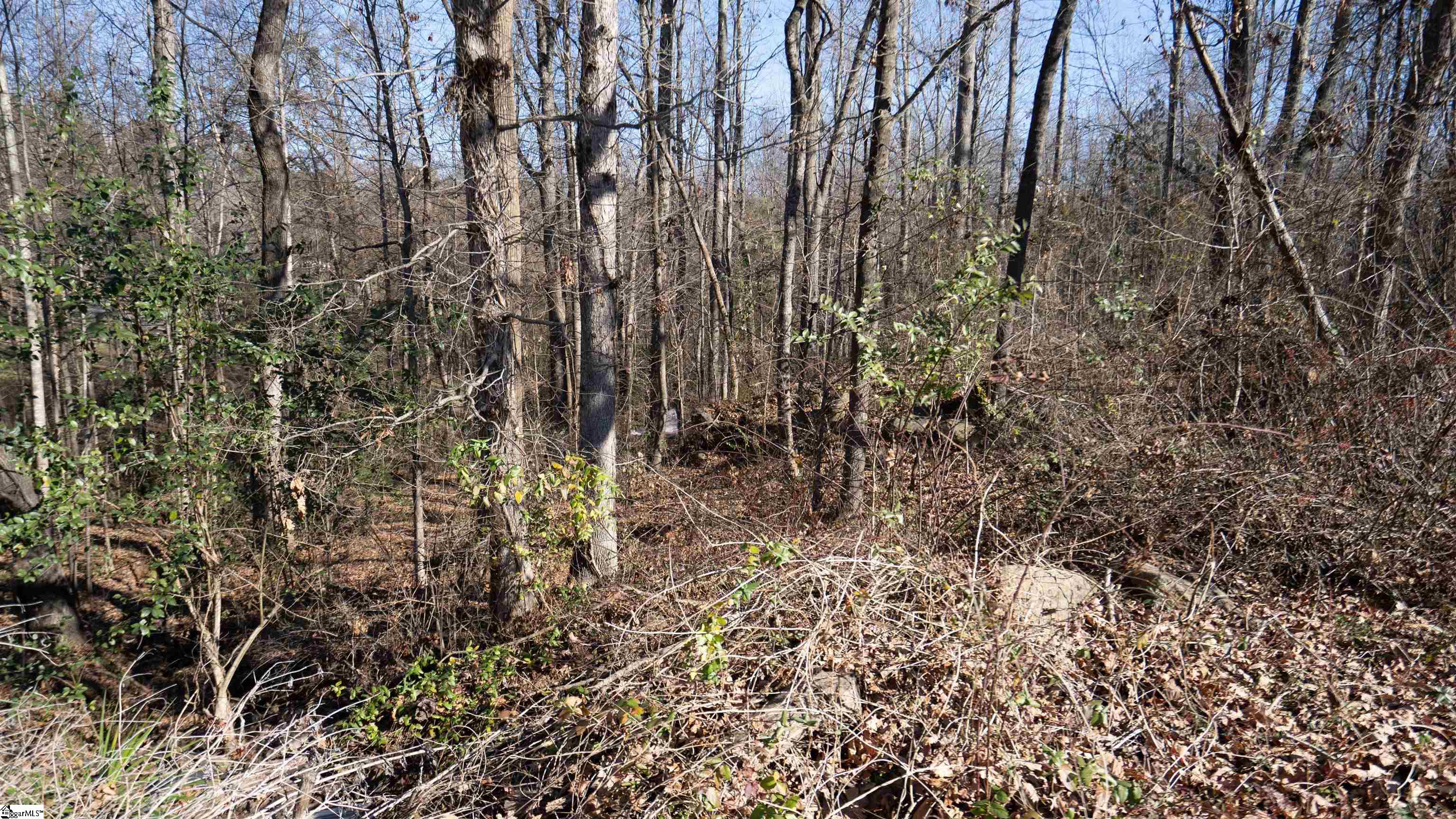 591 Dogwood Circle Property Photo 25