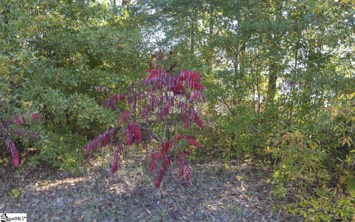 0 Chandler Road Property Photo 5
