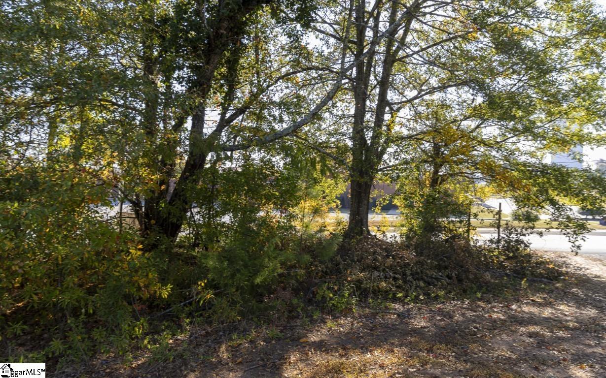 0 Chandler Road Property Photo 36