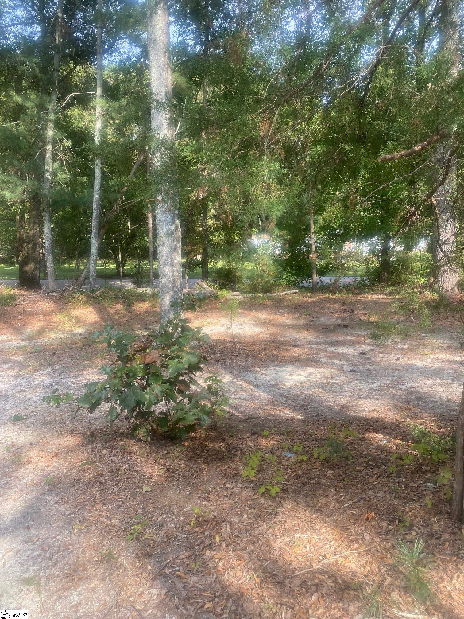 00 Clinkscales Road Property Photo 3