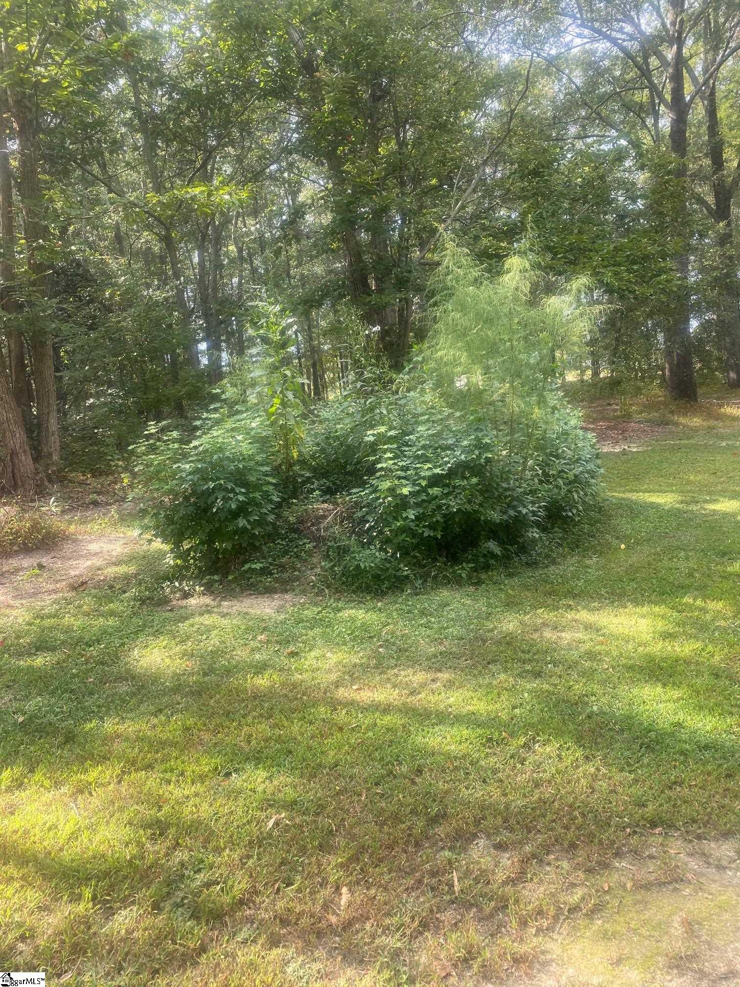 00 Clinkscales Road Property Photo 6