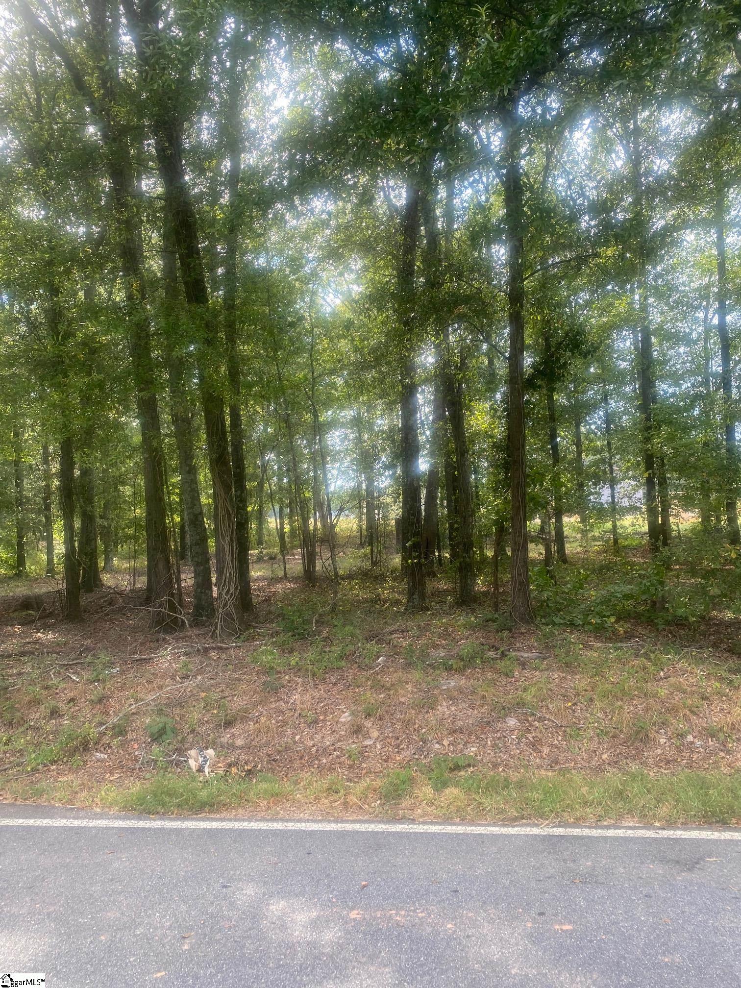 00 Clinkscales Road Property Photo 15