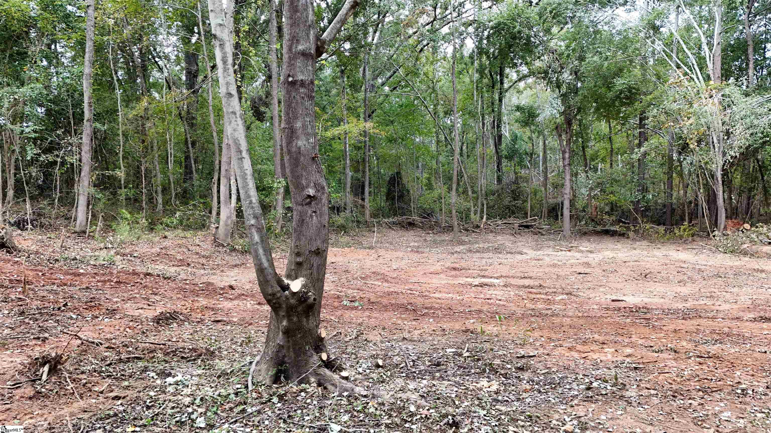 0 Azalea Drive Property Photo 23