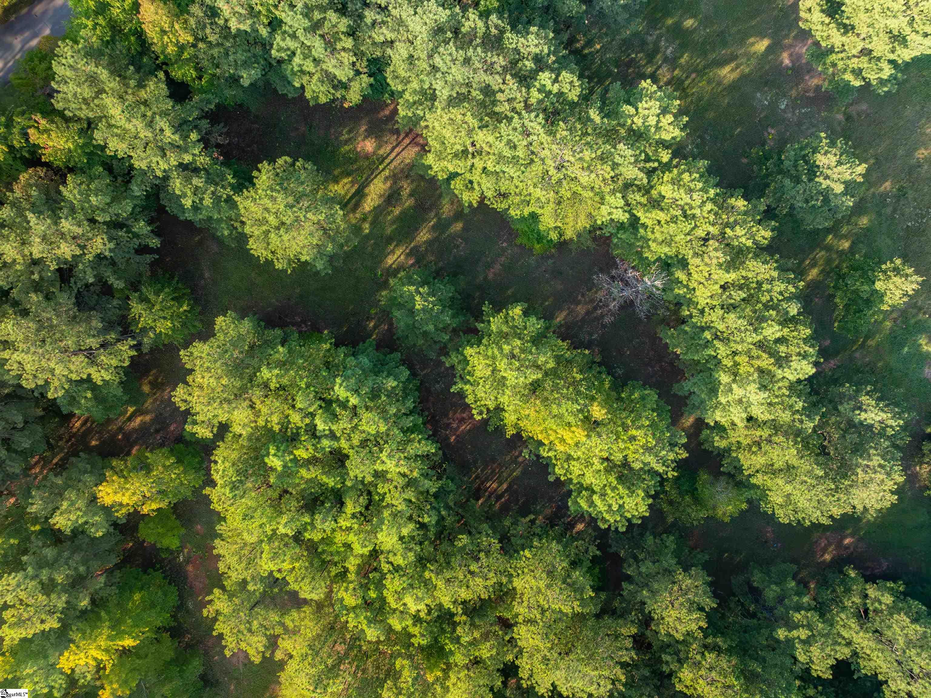 01 Spring Valley Road Property Photo 4