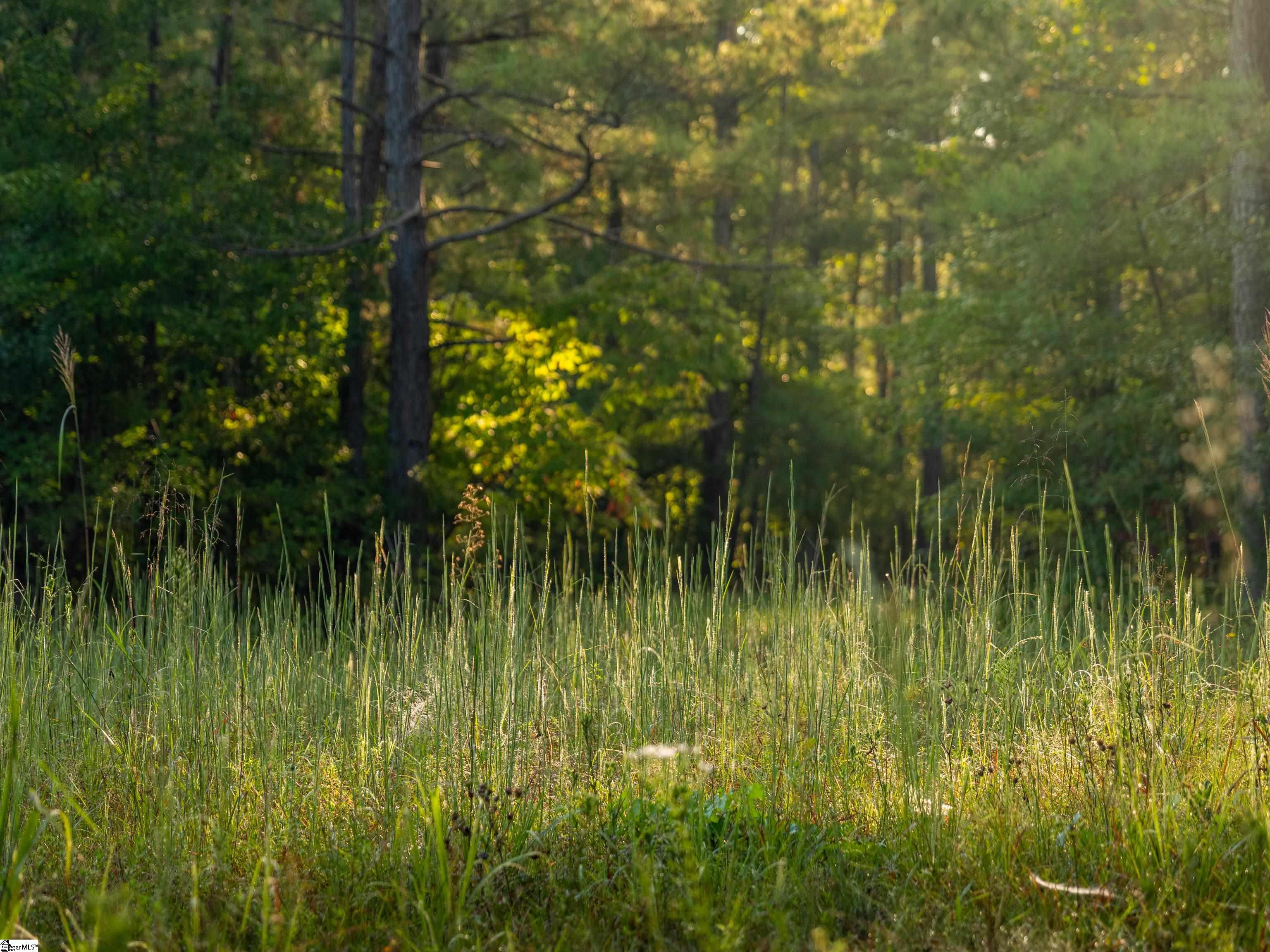 01 Spring Valley Road Property Photo 7