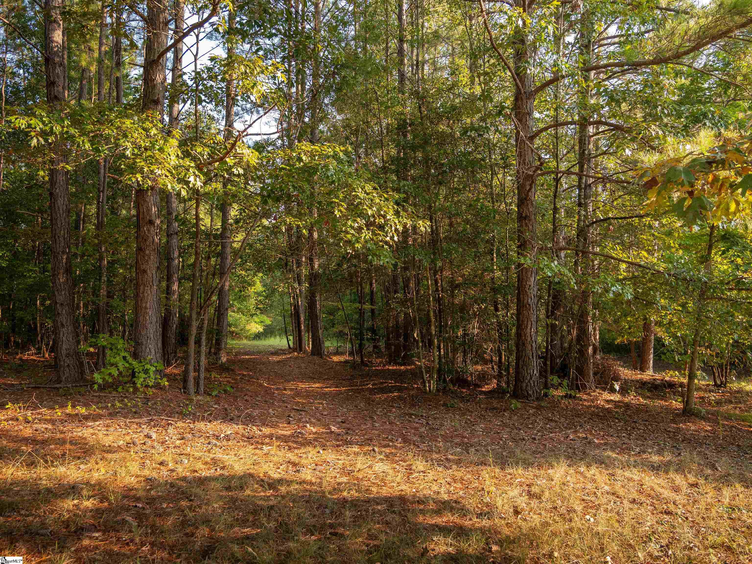 01 Spring Valley Road Property Photo 9