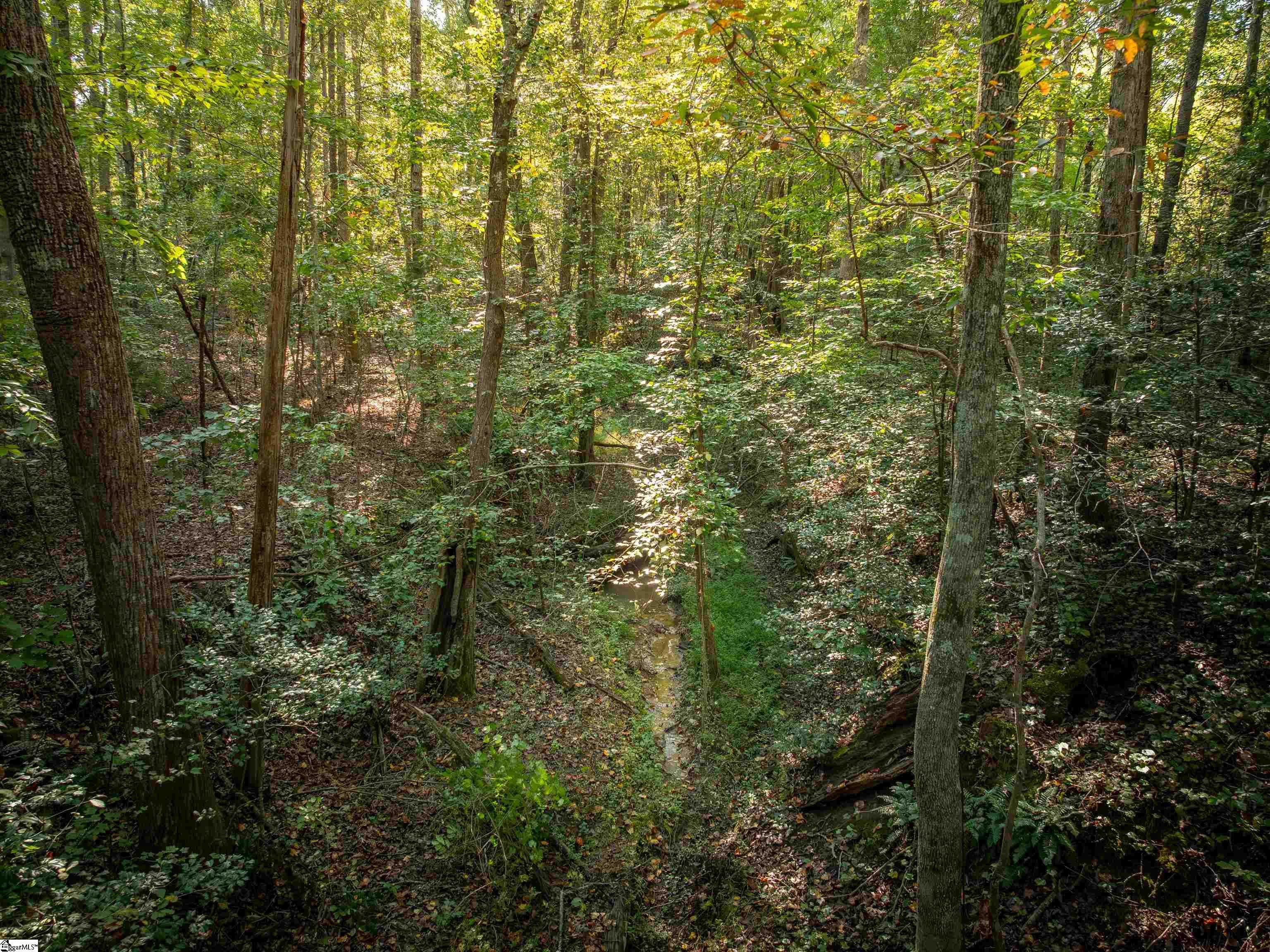 01 Spring Valley Road Property Photo 13