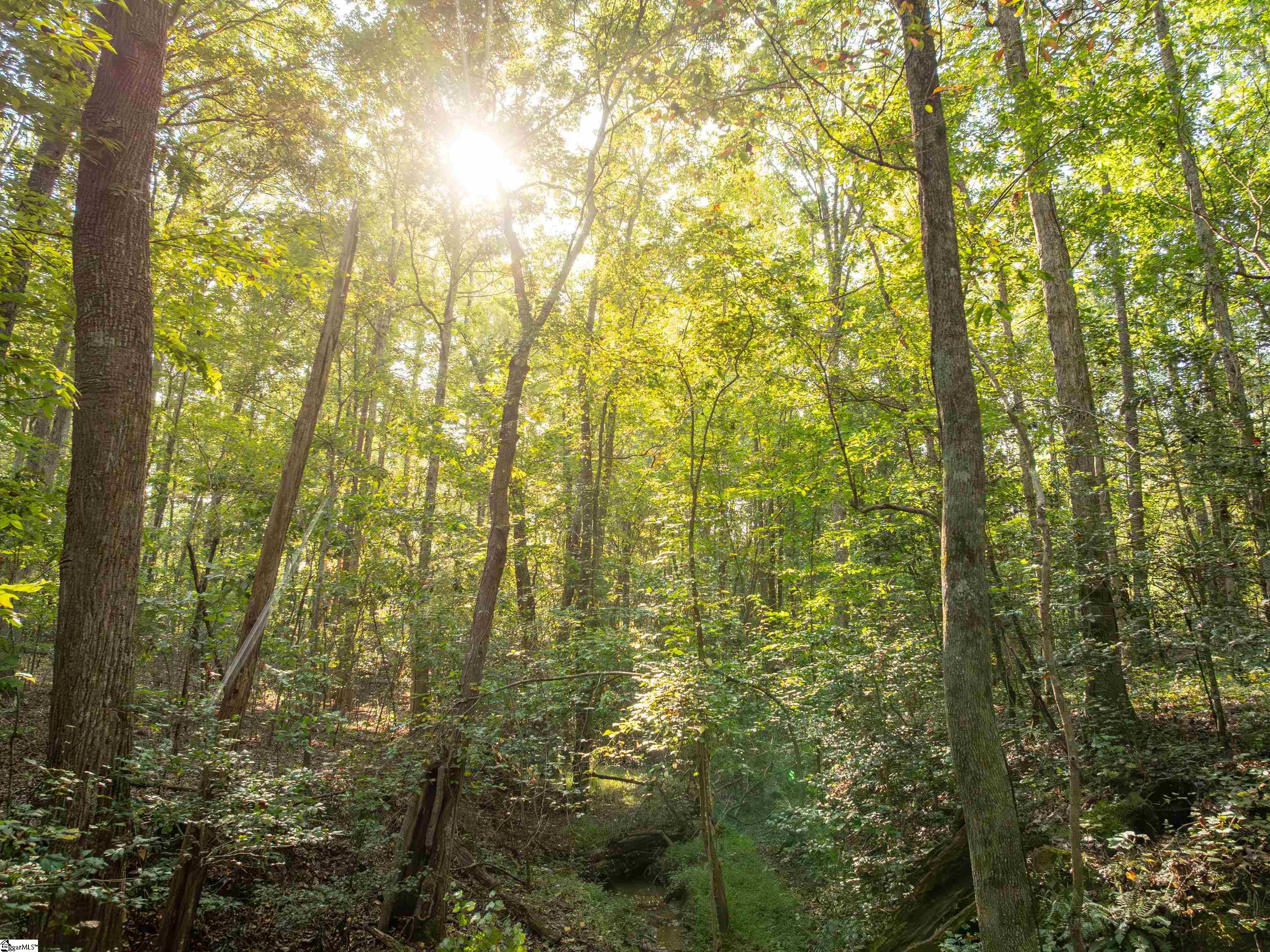 01 Spring Valley Road Property Photo 14