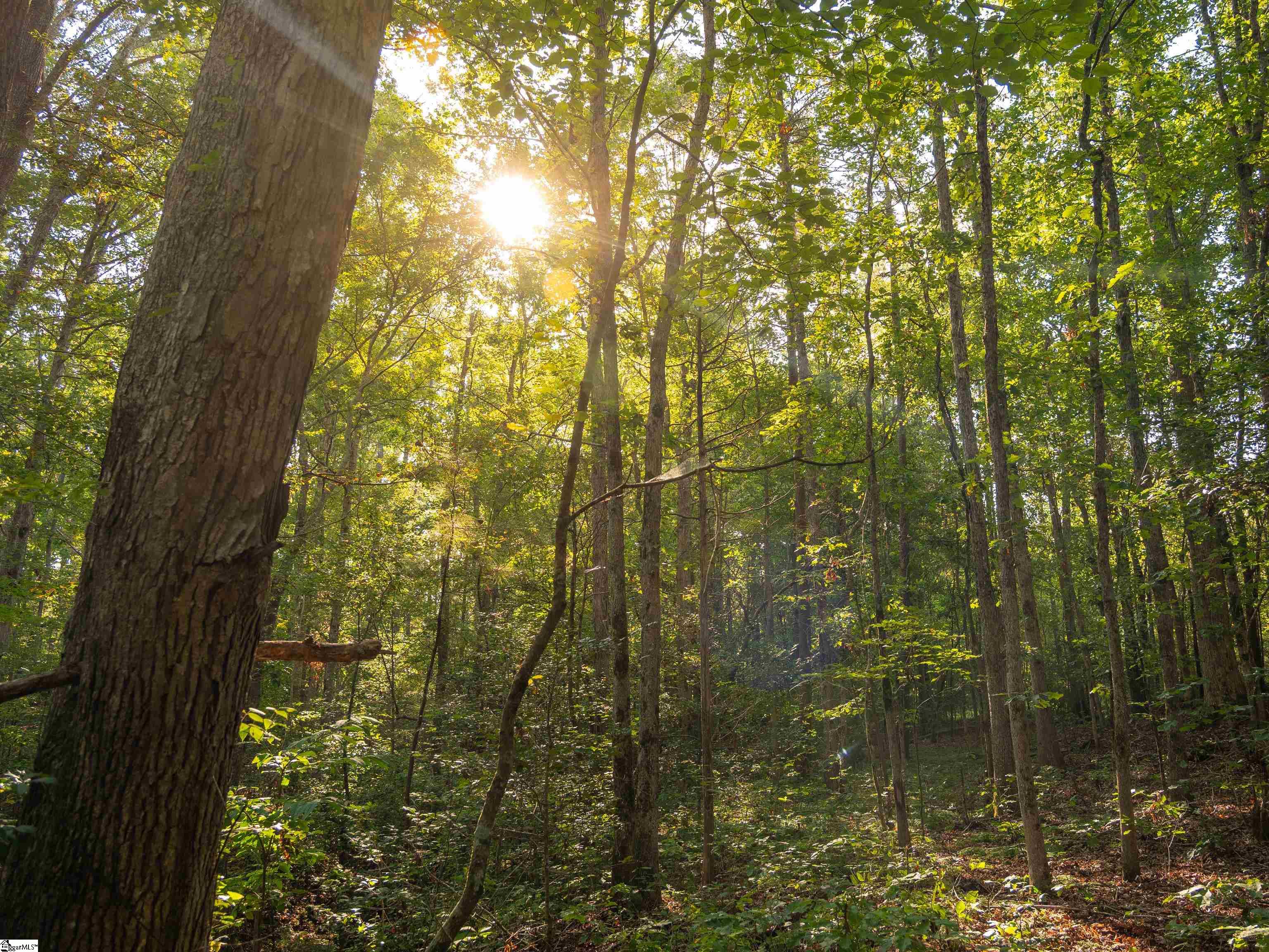 01 Spring Valley Road Property Photo 16