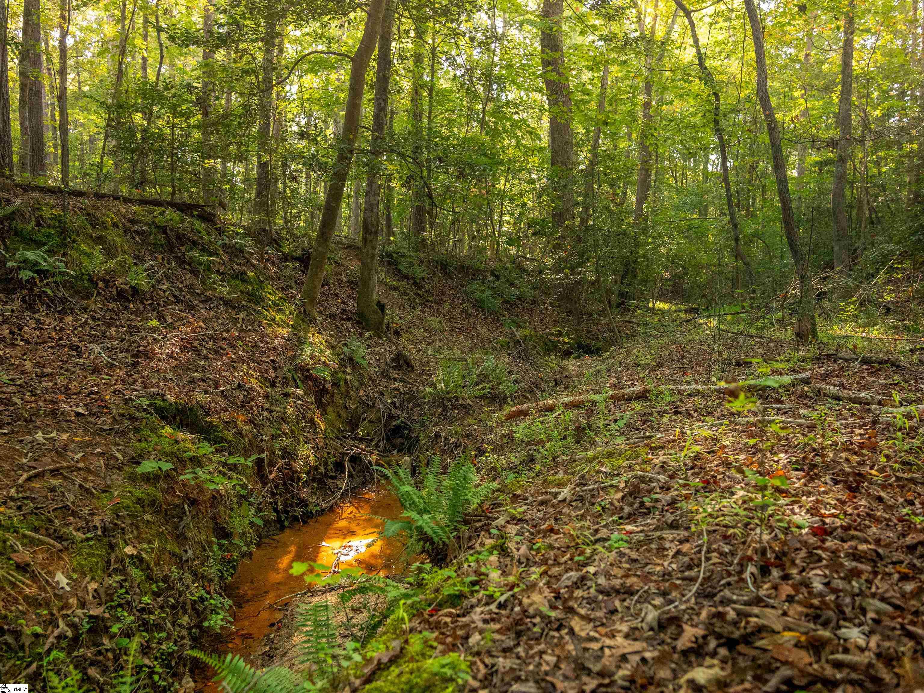 01 Spring Valley Road Property Photo 17