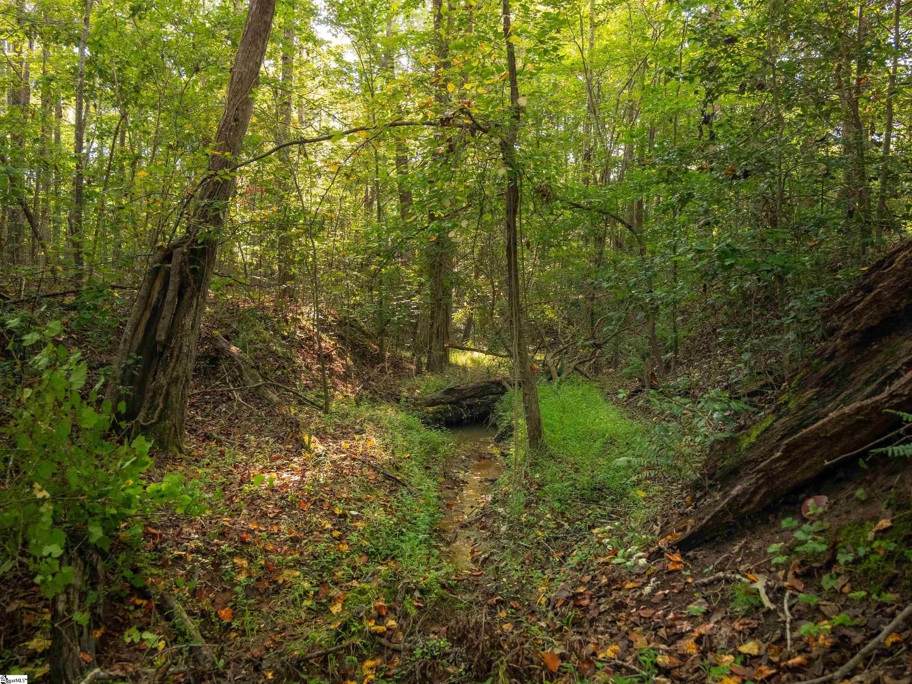 01 Spring Valley Road Property Photo 18