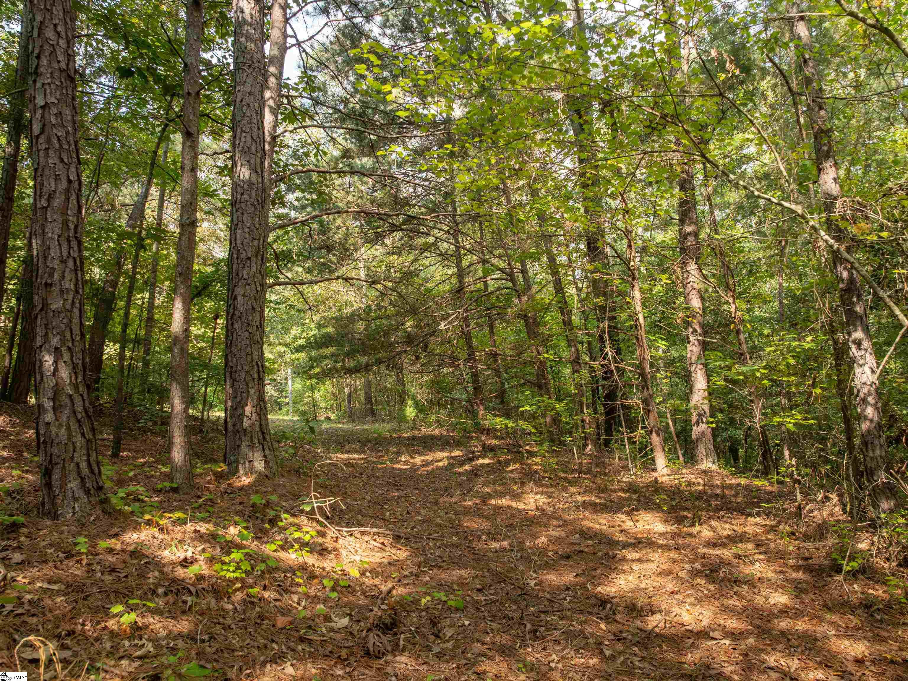 01 Spring Valley Road Property Photo 19