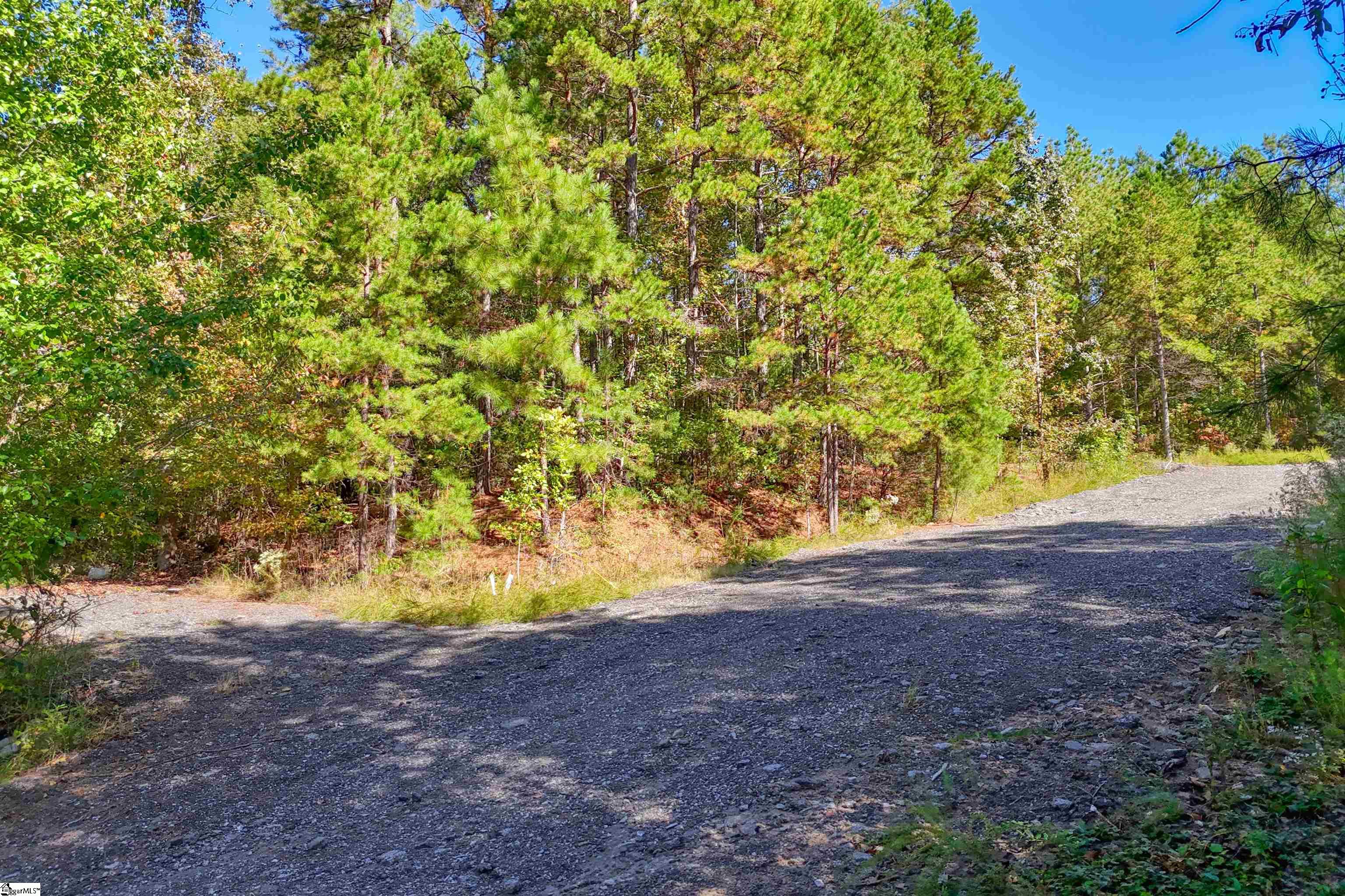 1348 Dalrymple Road Property Photo 4