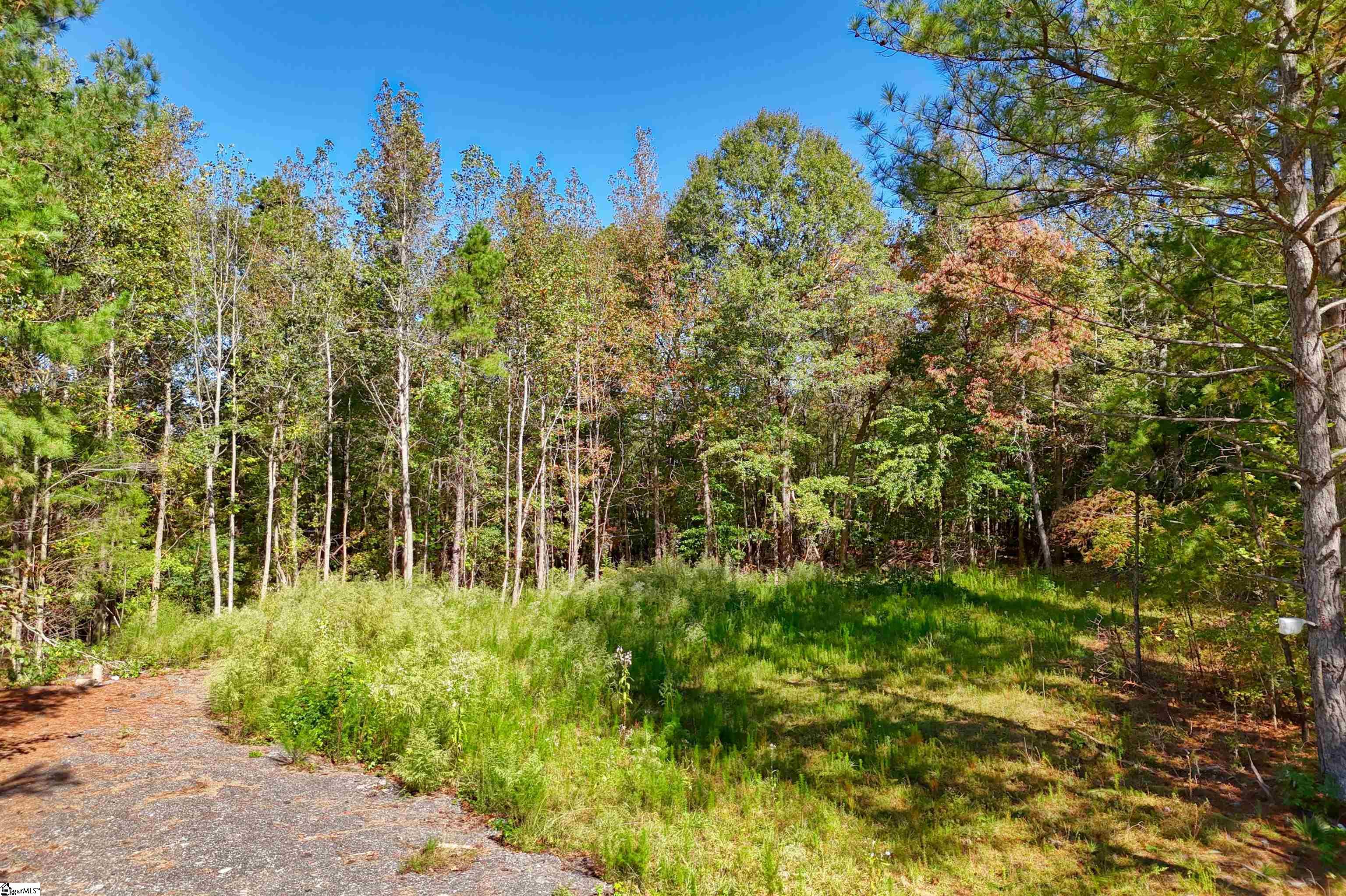 1348 Dalrymple Road Property Photo 7