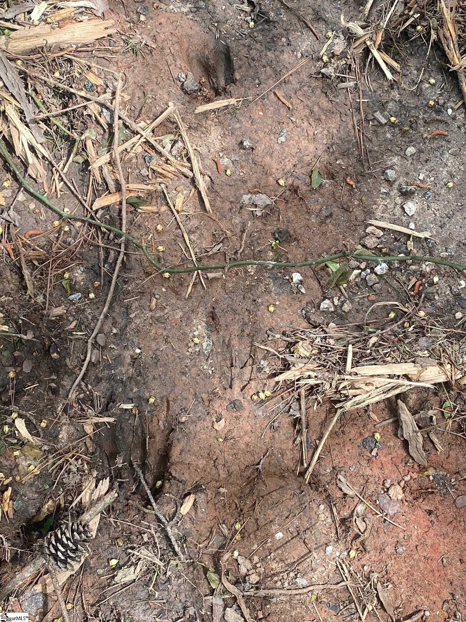 195 Commerce Avenue Property Photo 9