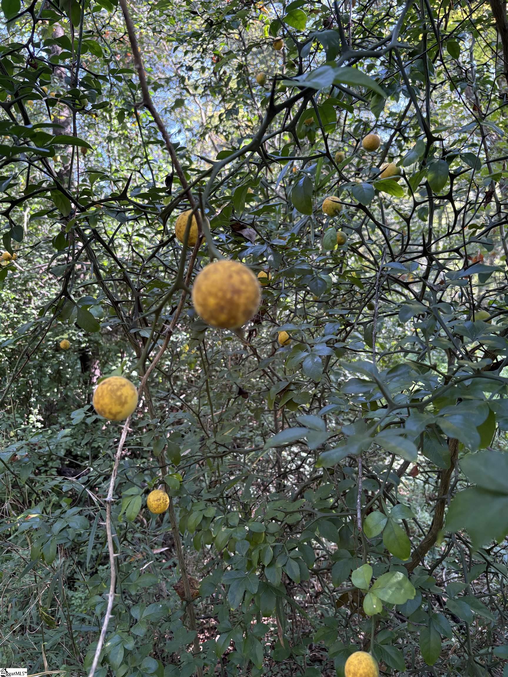 02 Joe Oulla Road Property Photo 5