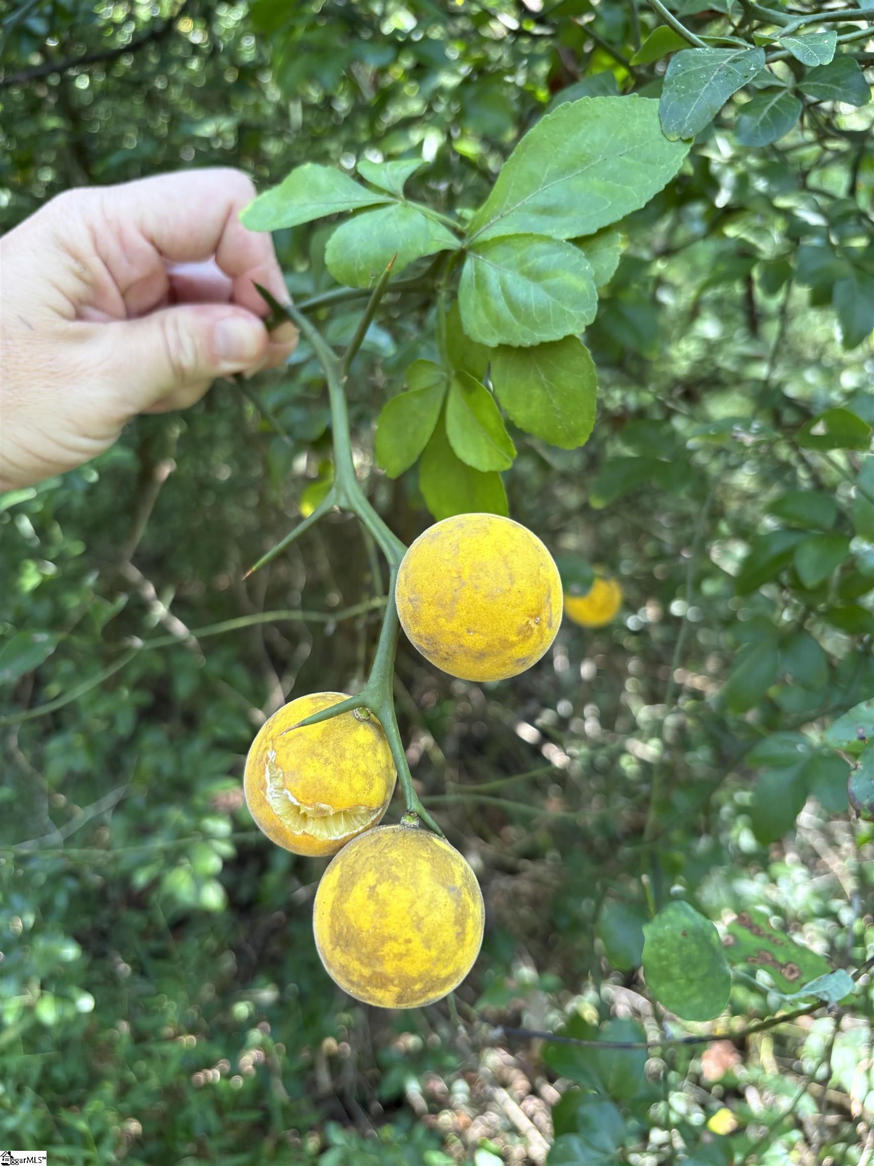 02 Joe Oulla Road Property Photo 6