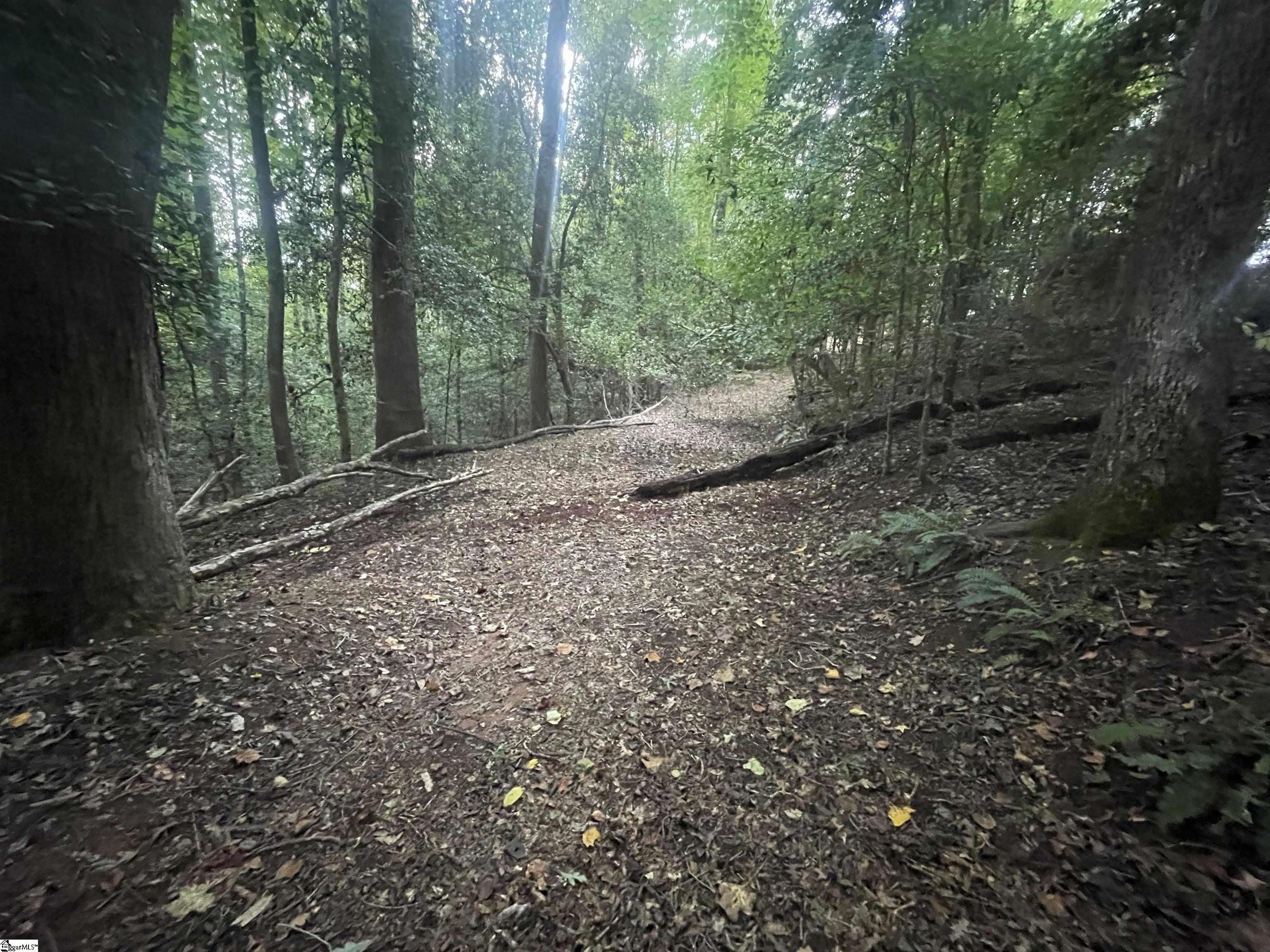 1573312 Property Photo 4