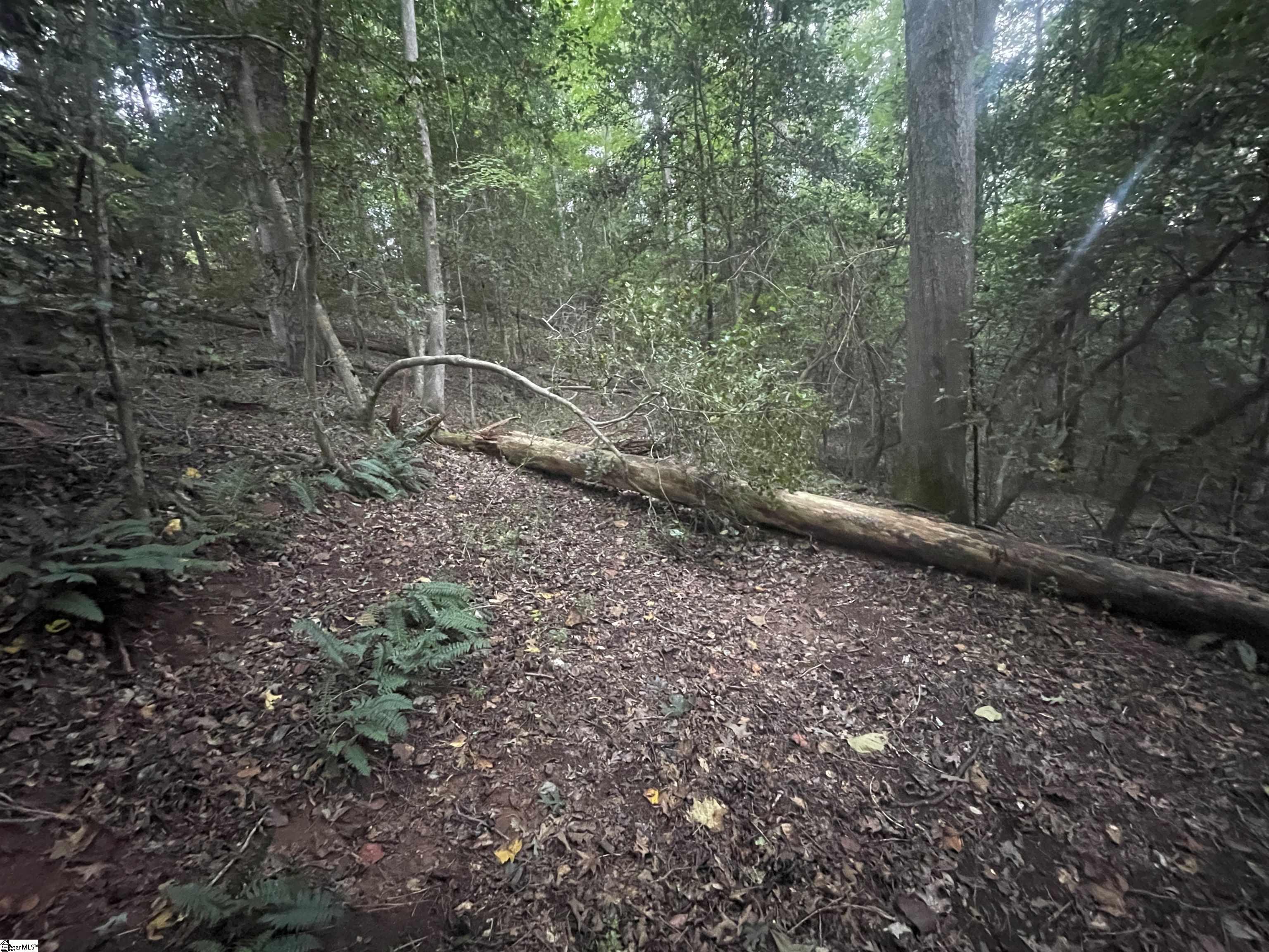 1573312 Property Photo 5