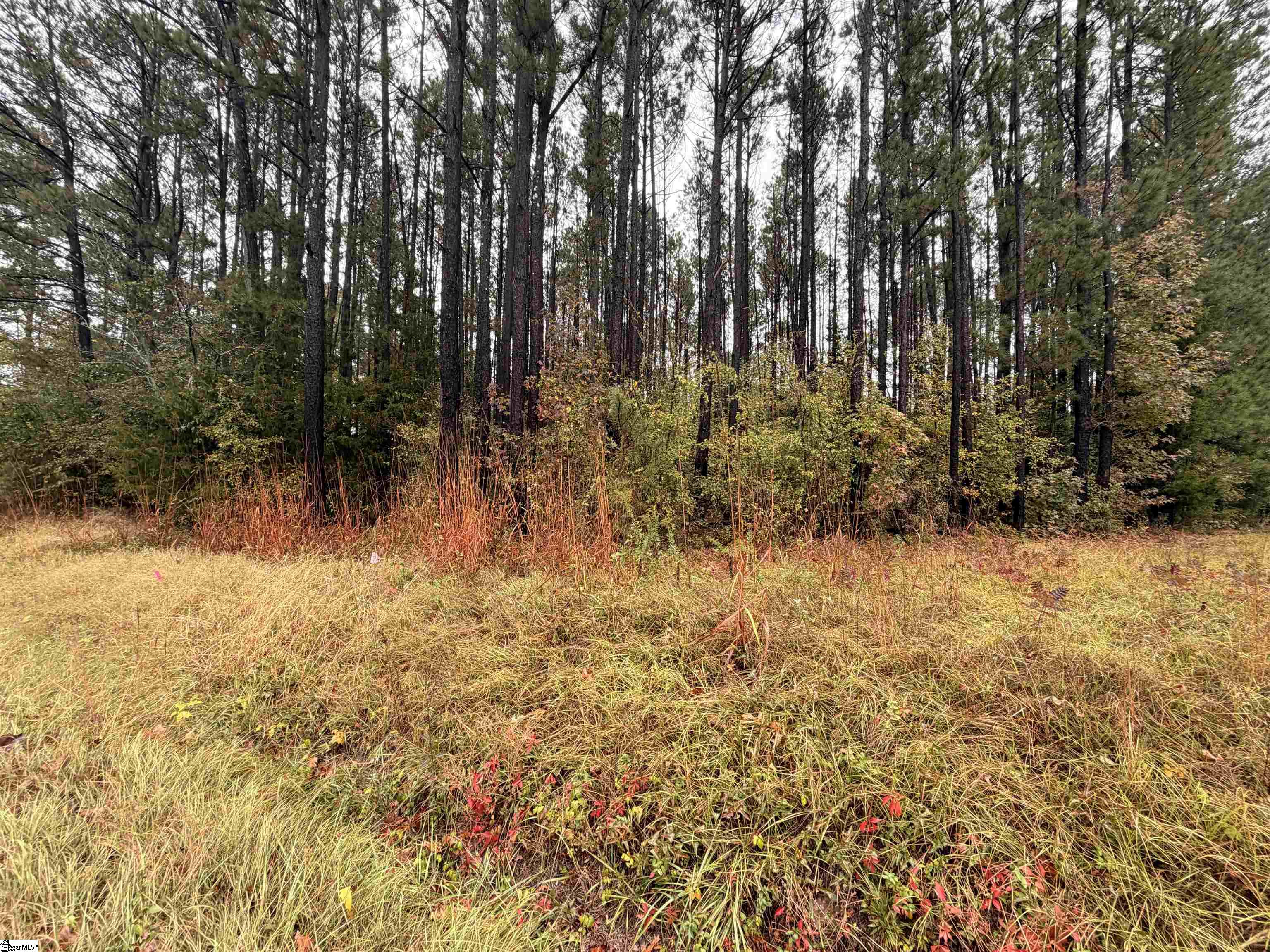 00 Beech Springs Road Property Photo 2