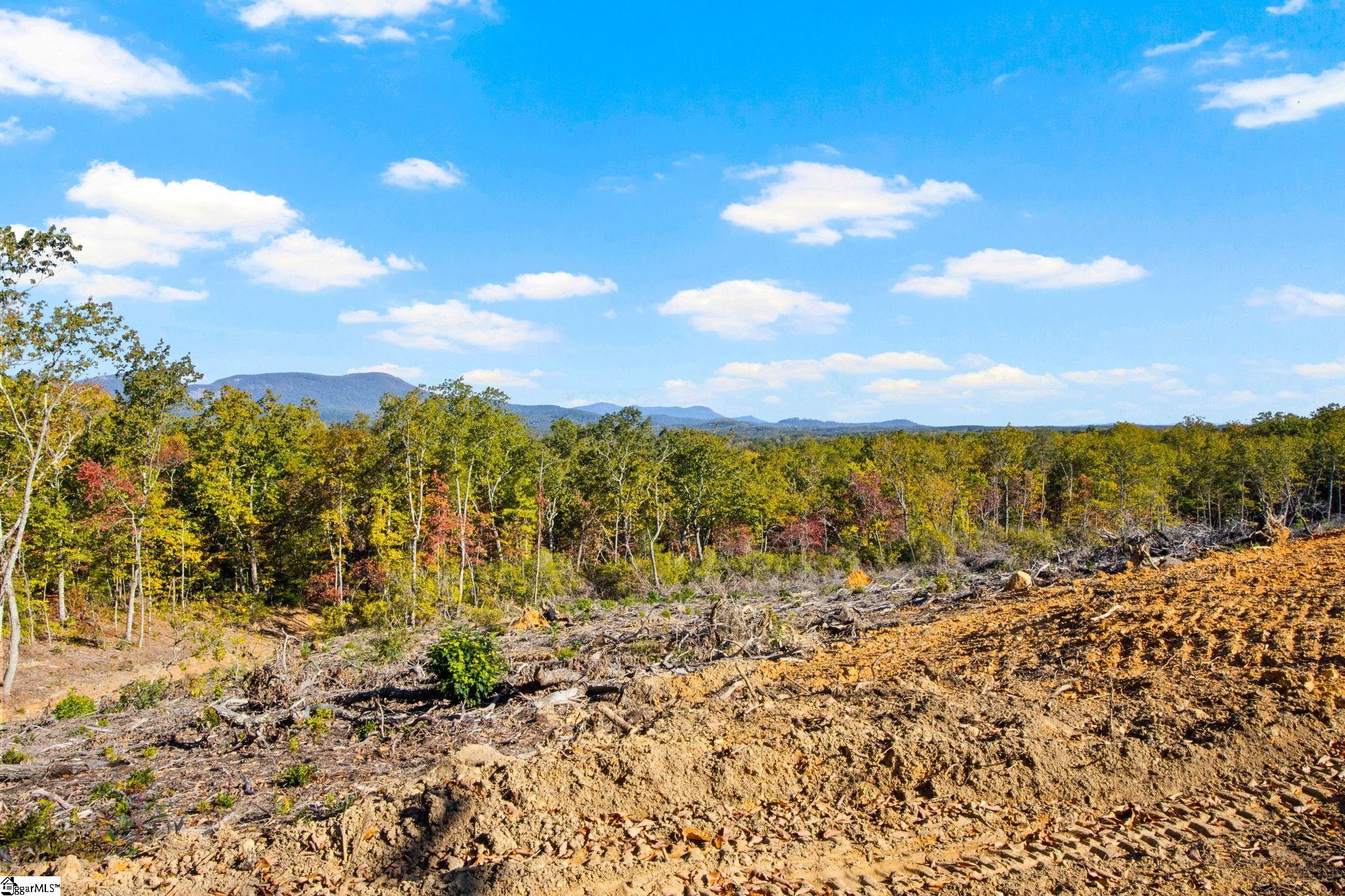1950 Pleasant Hill Road Property Photo 7