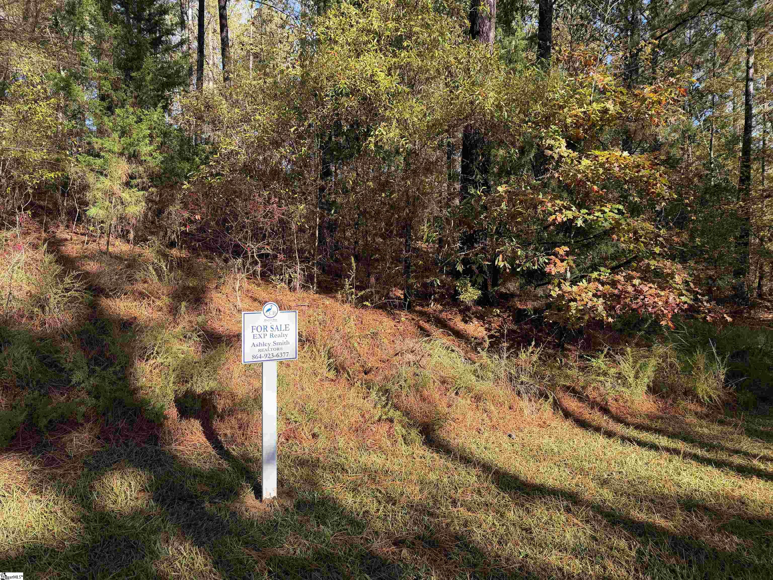 102 Flamingo Point Property Photo 3