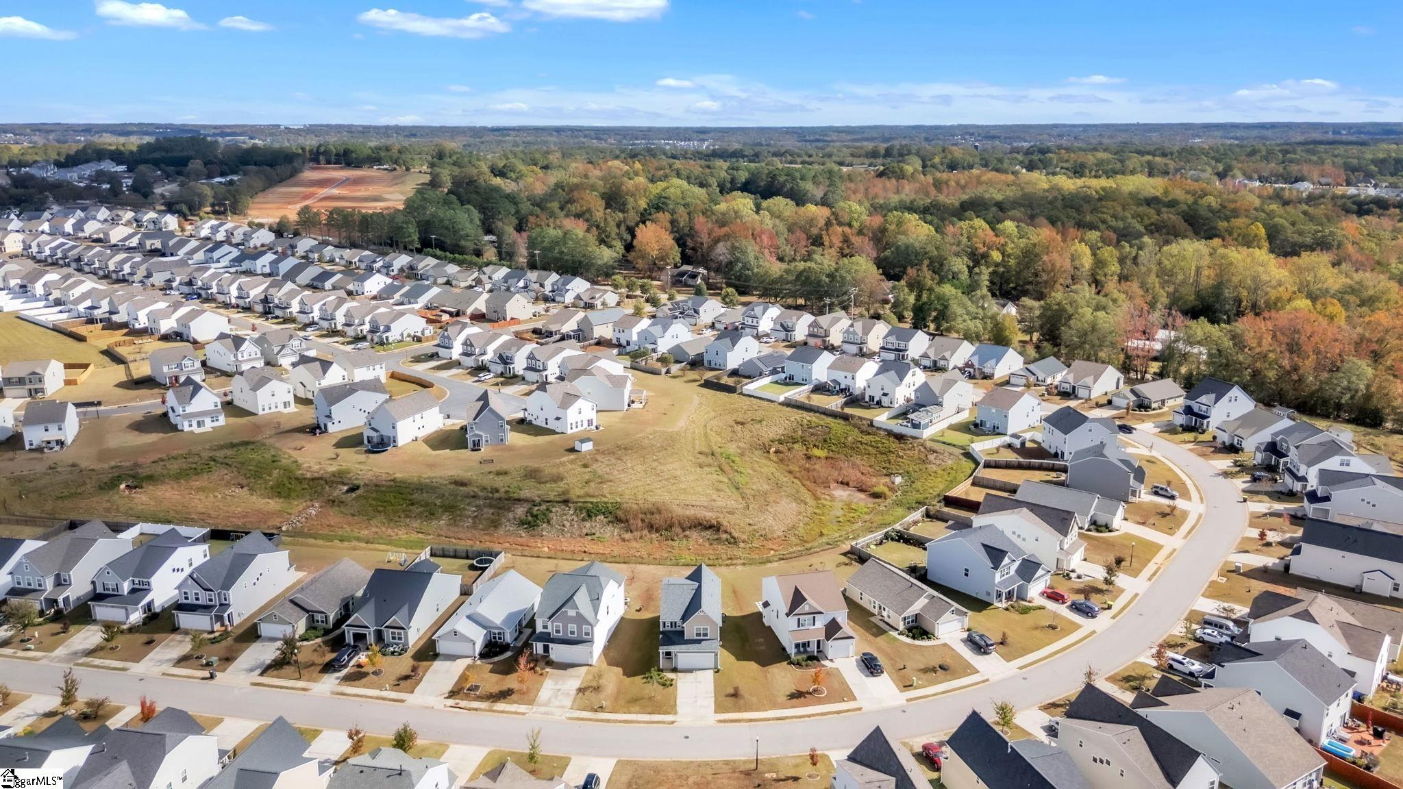 541 Pollyanna Drive Property Photo 30