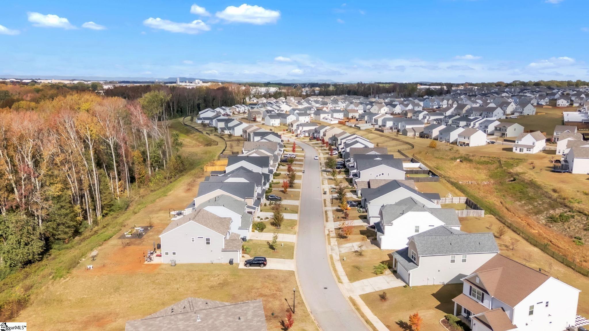 541 Pollyanna Drive Property Photo 31