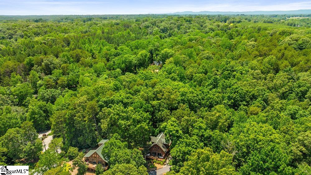 215 Serenity Bay Drive Property Photo 38