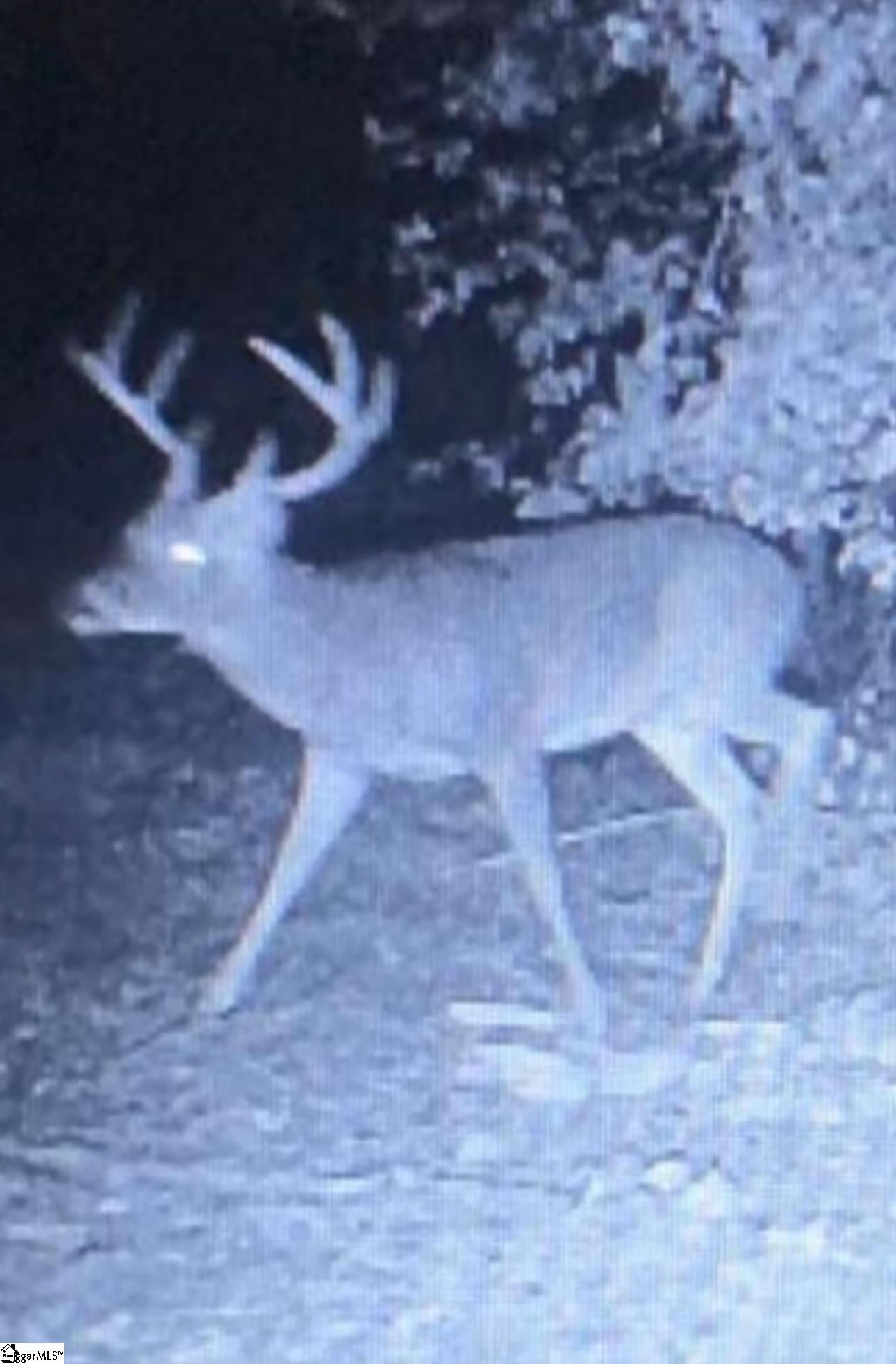 210 Graystone Road Property Photo 22