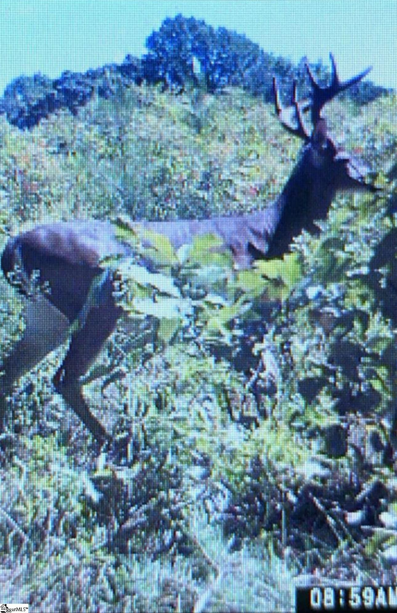 210 Graystone Road Property Photo 23