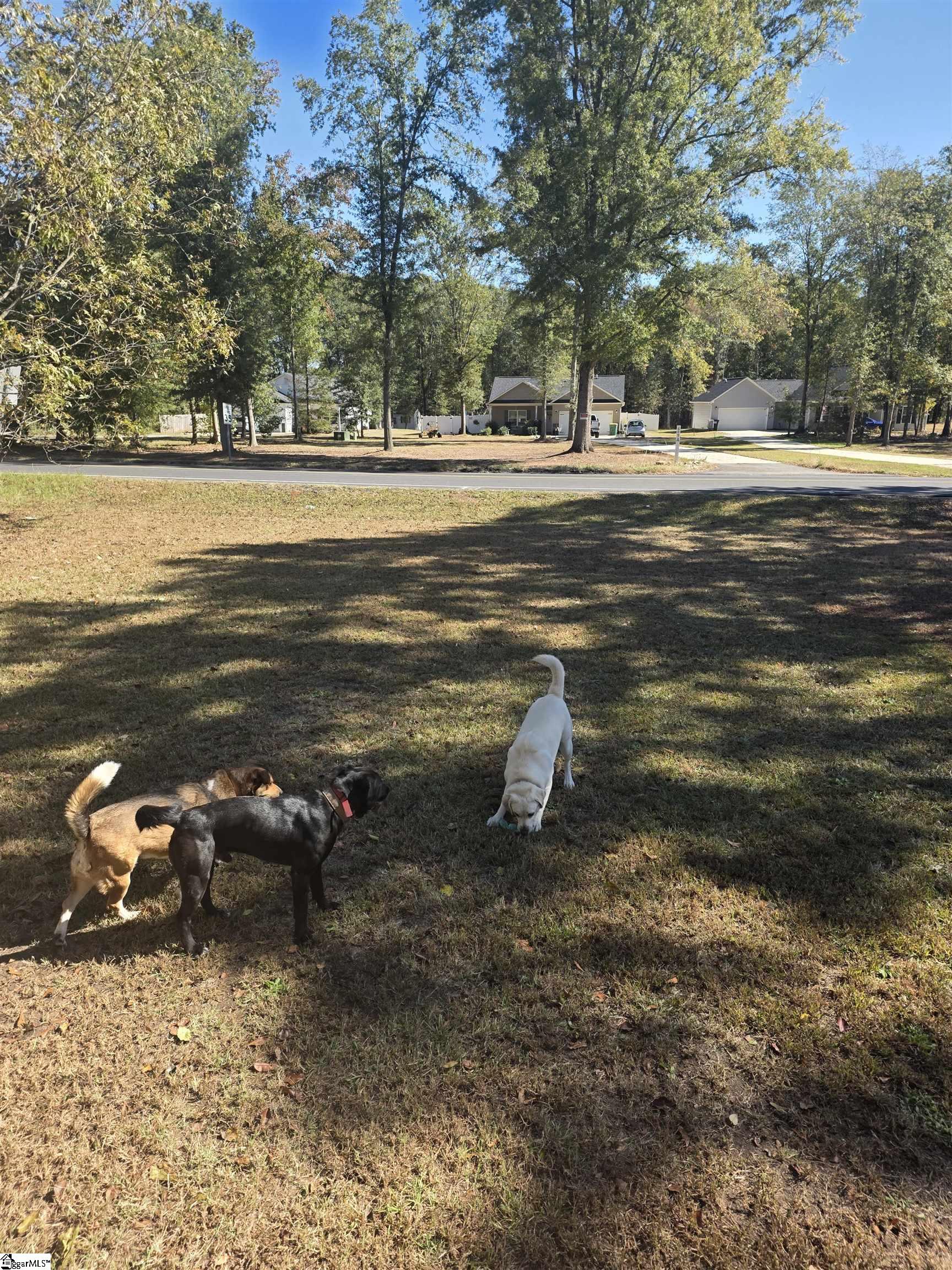 608 Belton Highway Property Photo 16