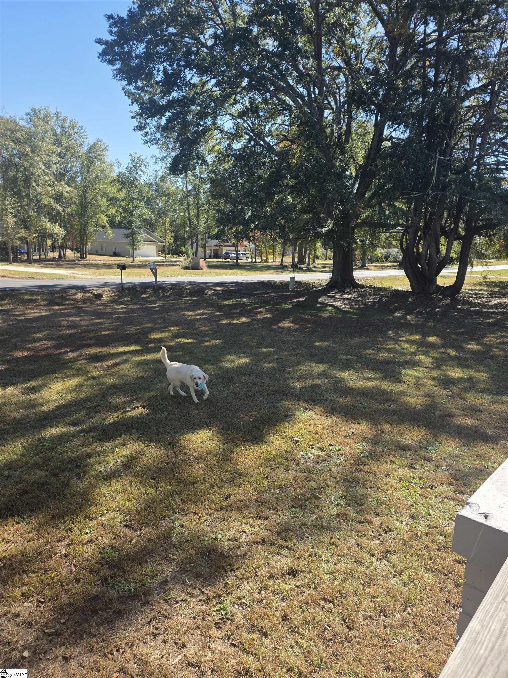 608 Belton Highway Property Photo 17