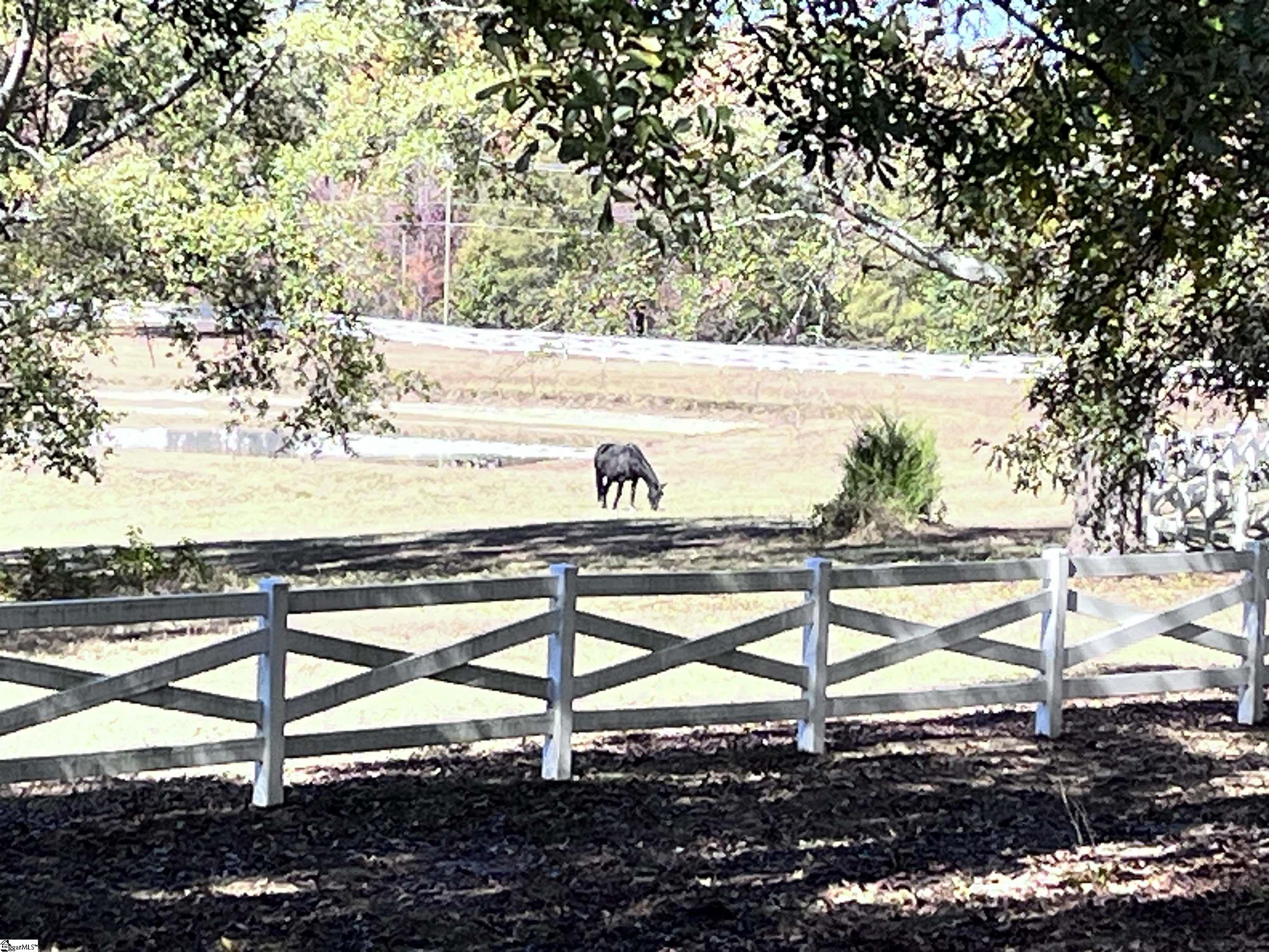 390 Blakely Avenue Property Photo 47