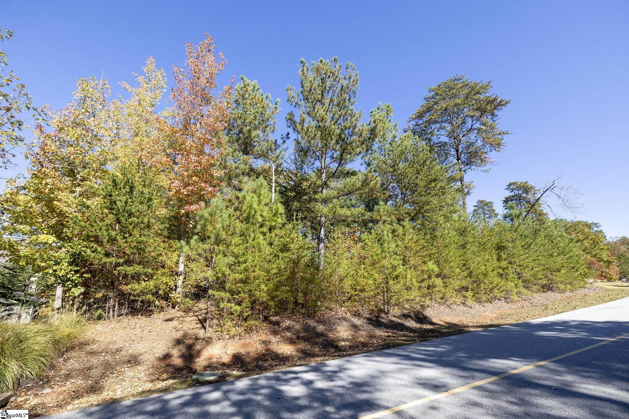 374 Peninsula Ridge Property Photo 17