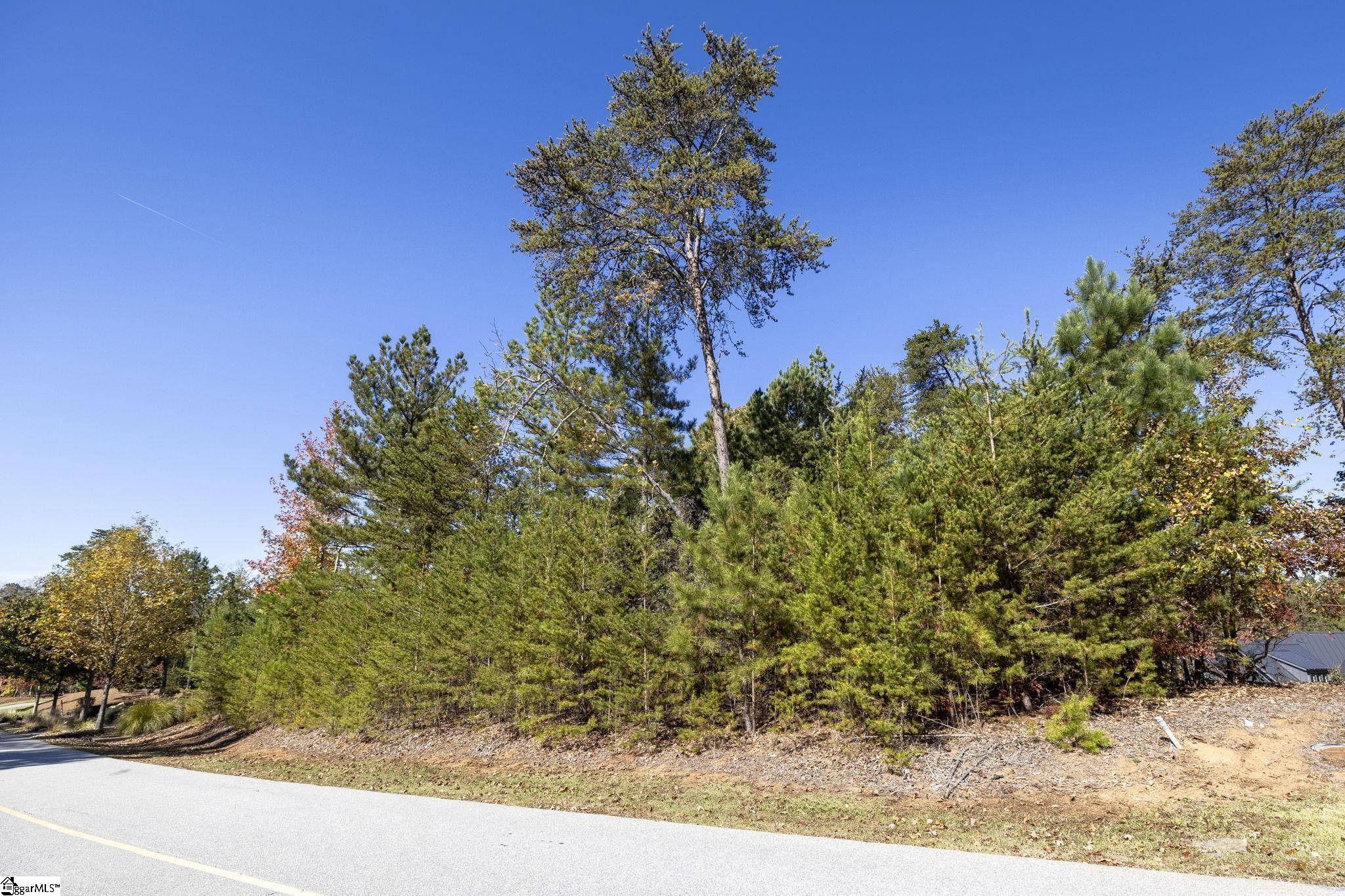 374 Peninsula Ridge Property Photo 18