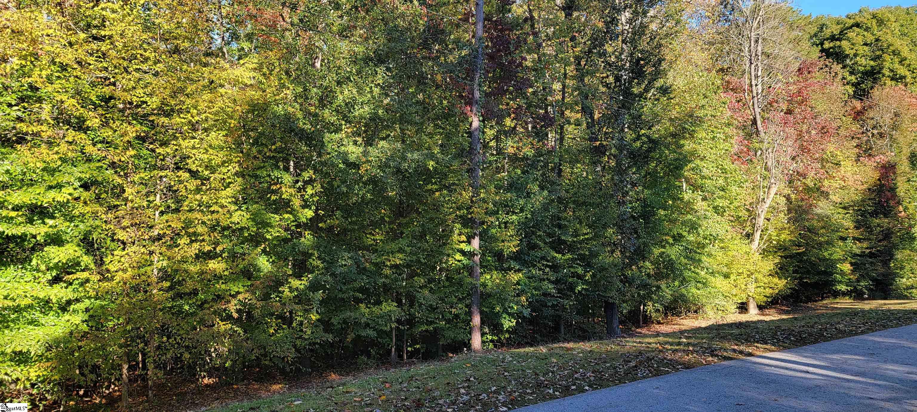 00 Point Road Property Photo 3