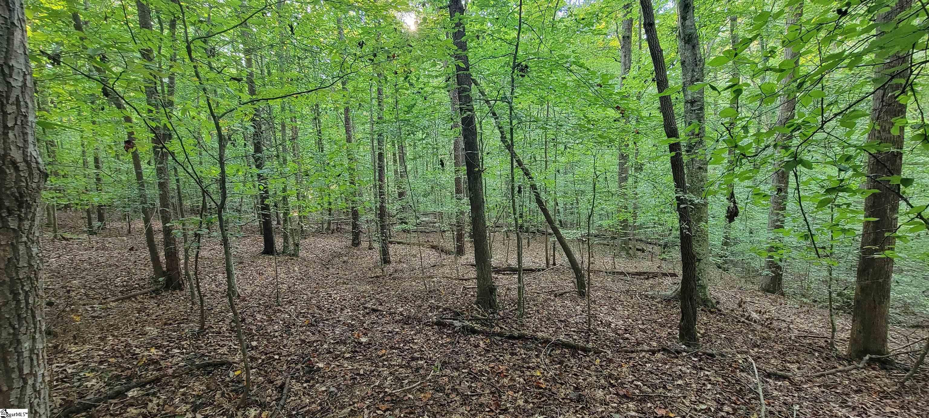 00 Point Road Property Photo 6