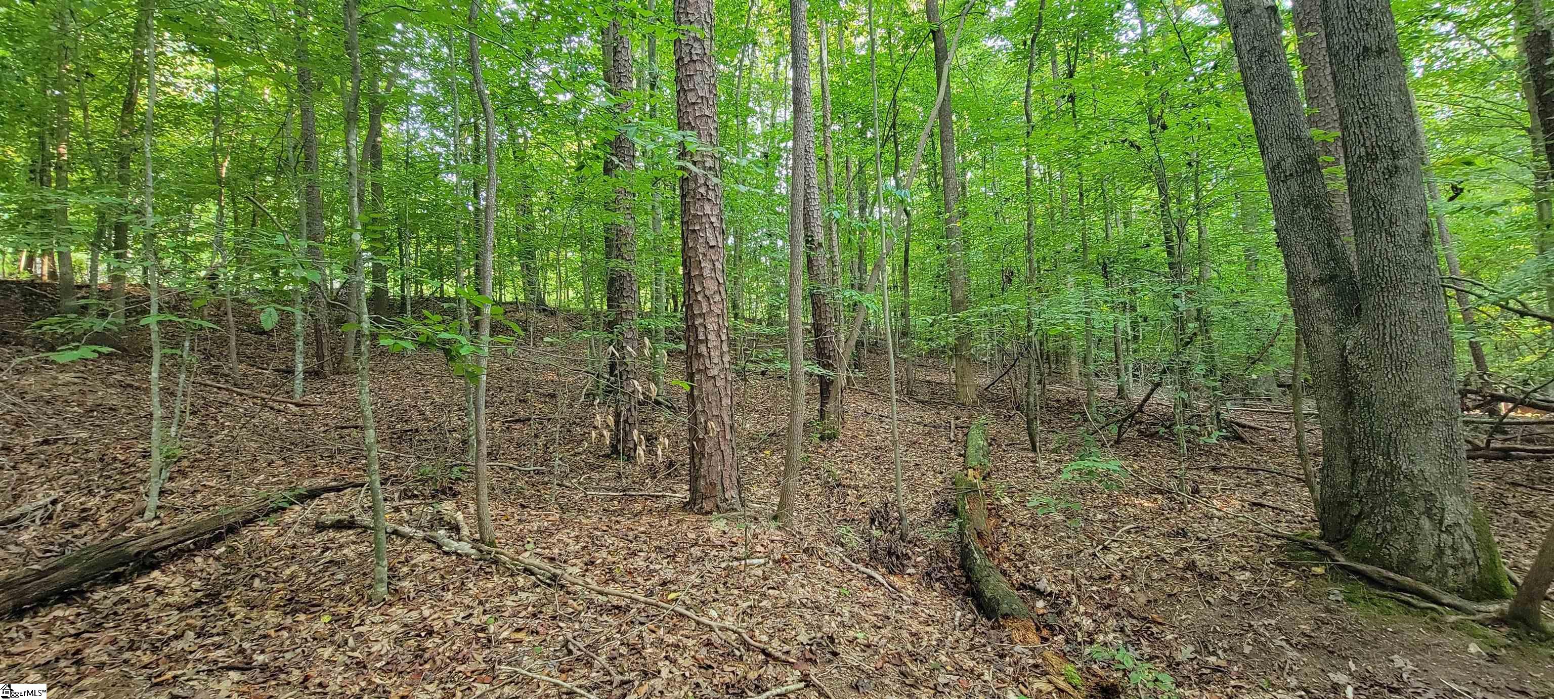 00 Point Road Property Photo 7