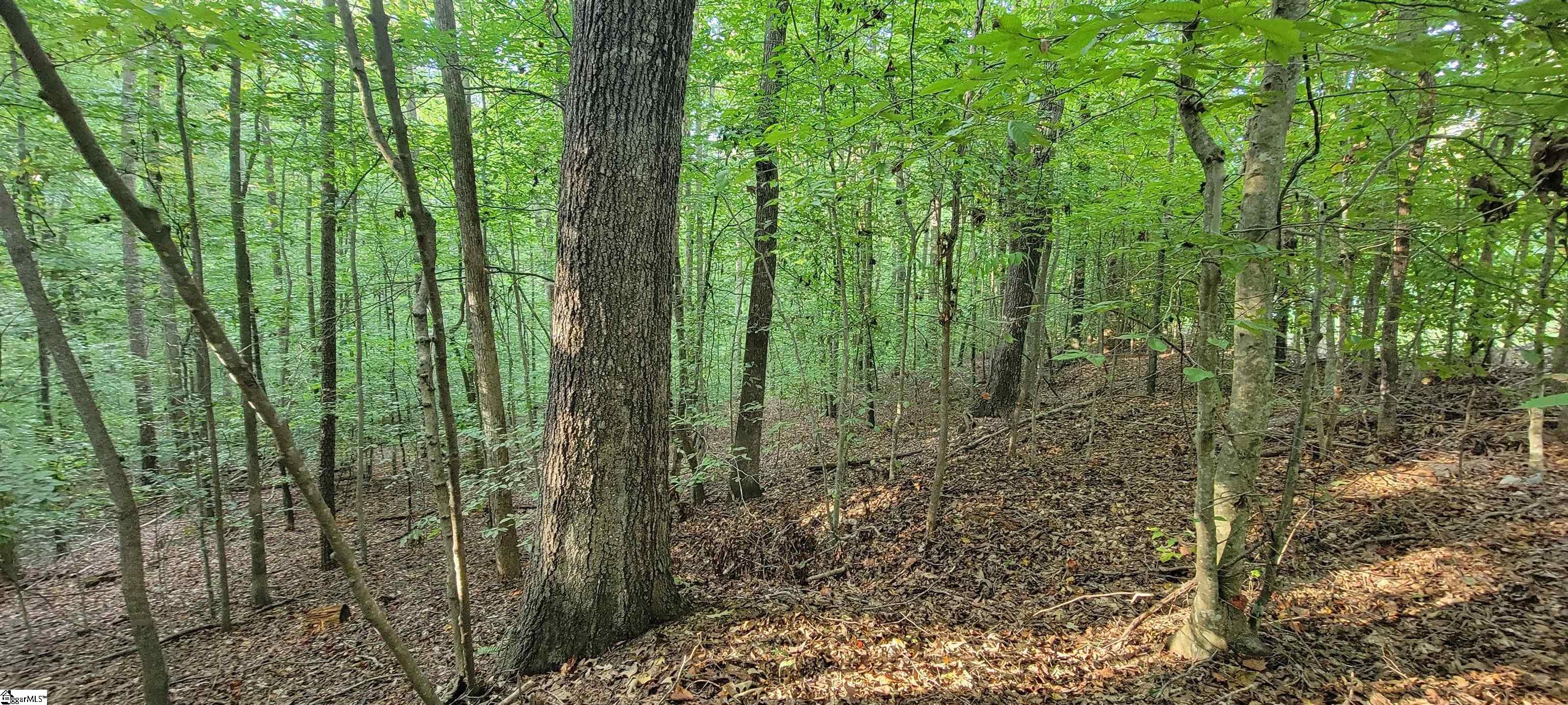 00 Point Road Property Photo 8