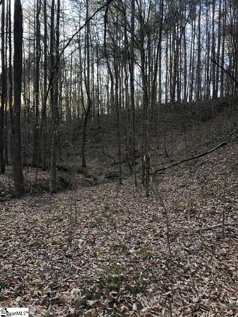 0 Dogwood Lane Property Photo 7