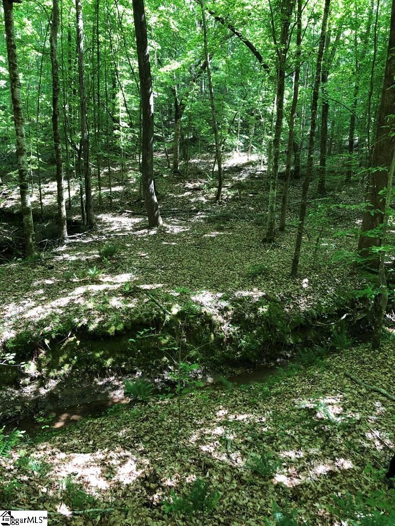 0 Dogwood Lane Property Photo 8