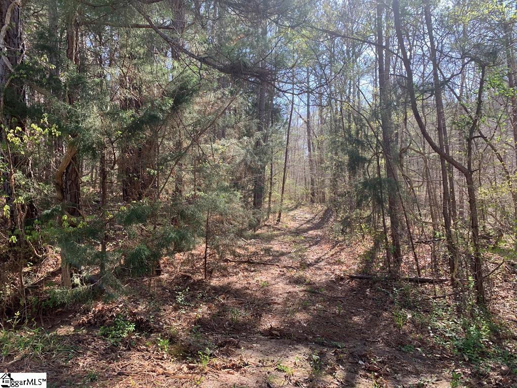 0 Dogwood Lane Property Photo 9