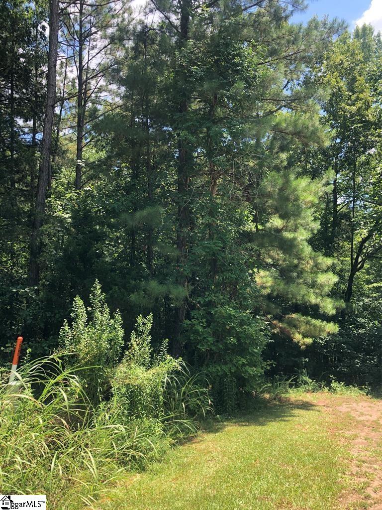 0 Dogwood Lane Property Photo 11