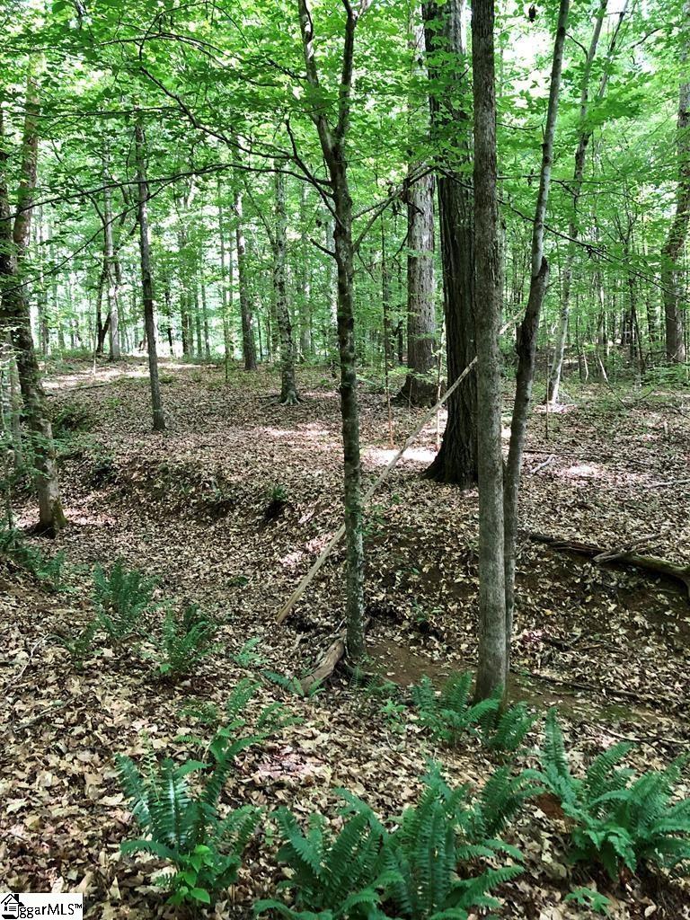 0 Dogwood Lane Property Photo 13