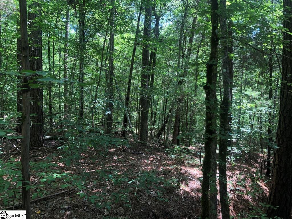 0 Dogwood Lane Property Photo 16