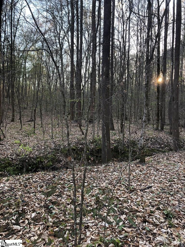 0 Dogwood Lane Property Photo 17