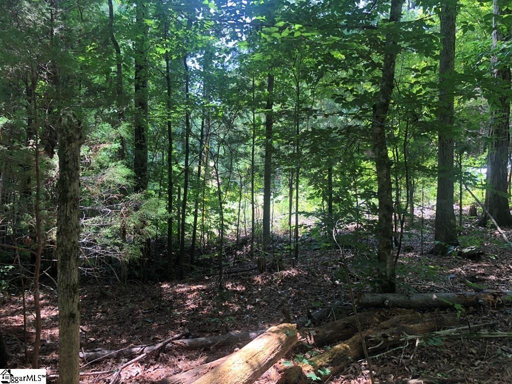 0 Dogwood Lane Property Photo 18
