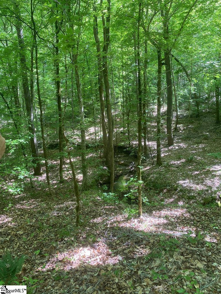 0 Dogwood Lane Property Photo 21