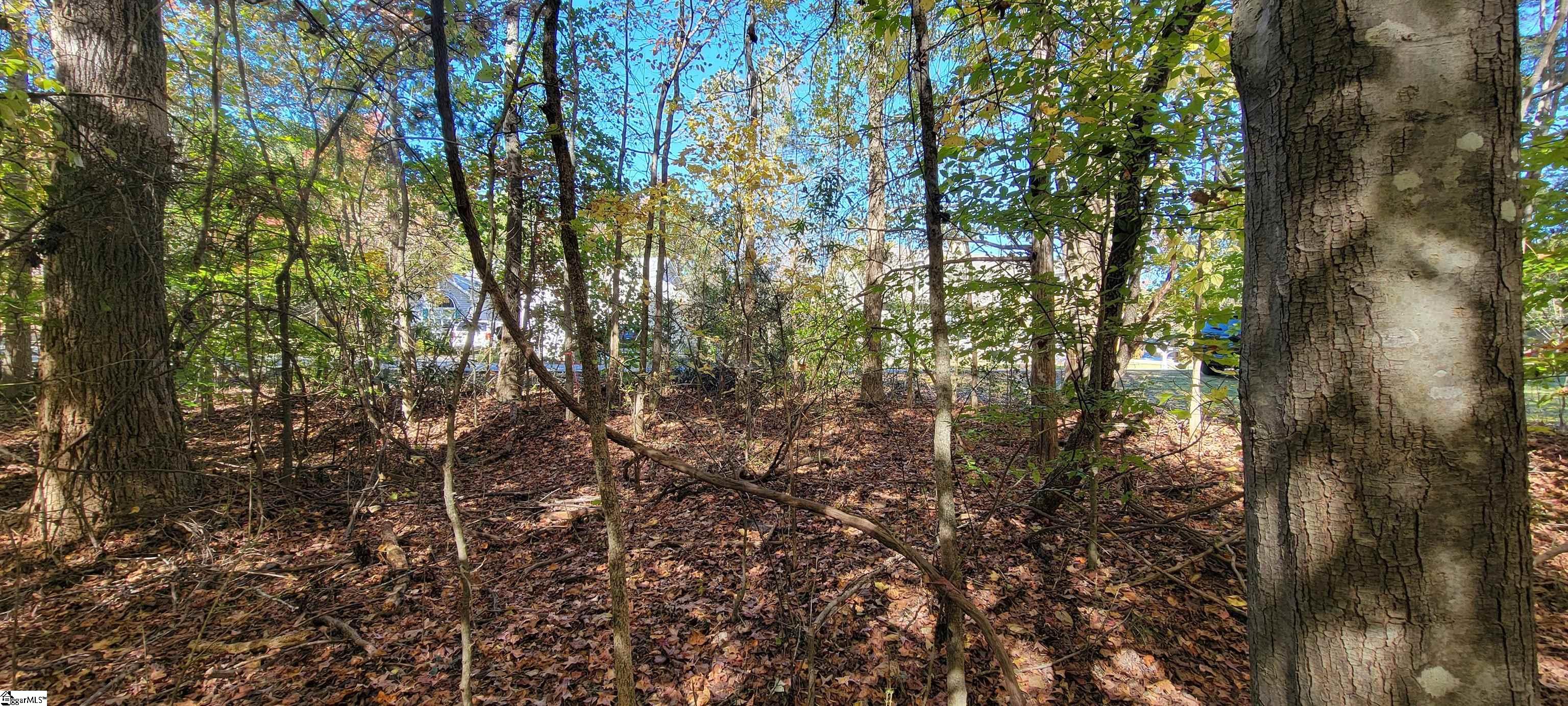 00 S Hogan Drive Property Photo 9
